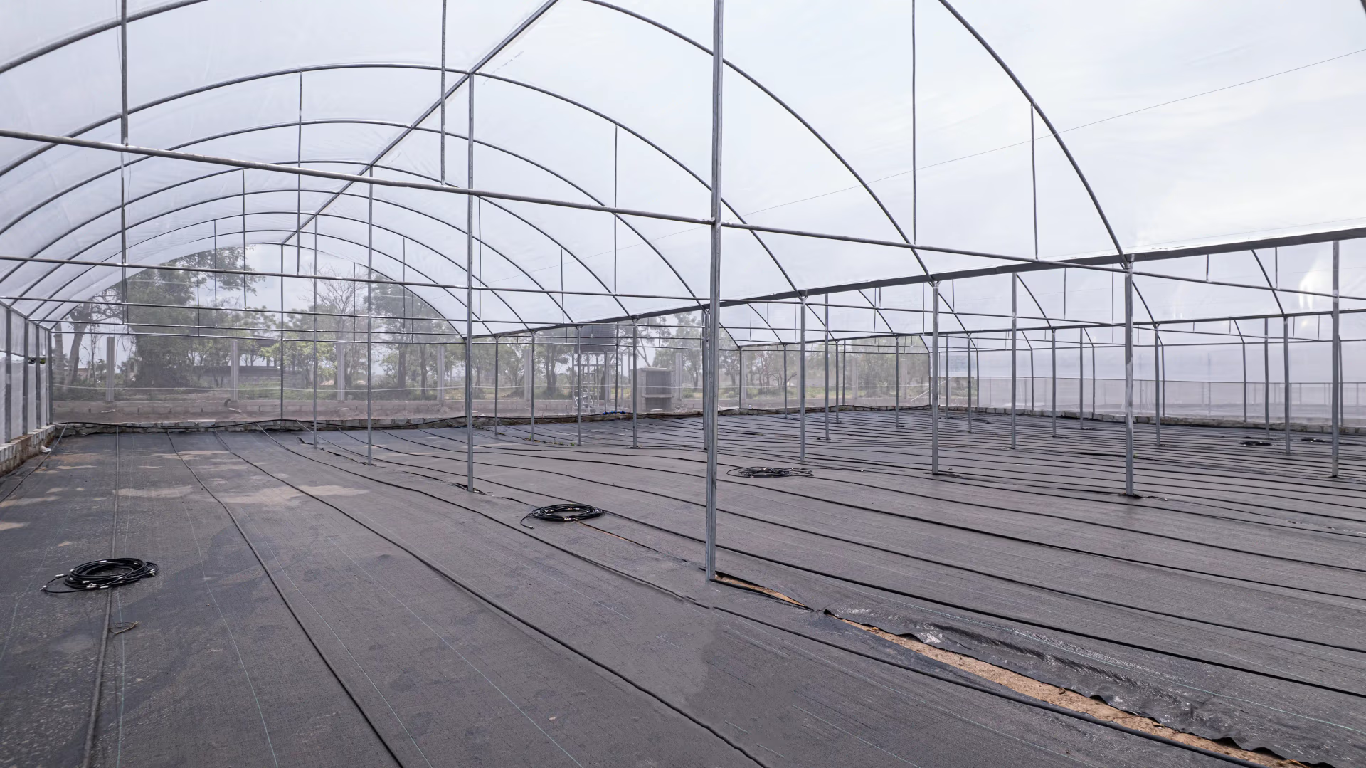 Serre Agricole 250 m² en Acier Galvanisé