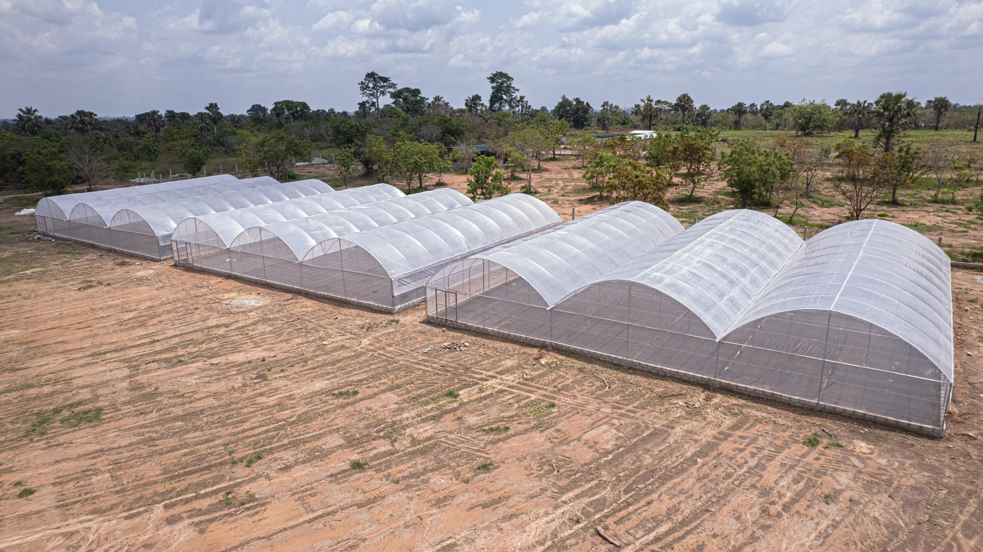 Serre Agricole 1000 m² en Acier Galvanisé
